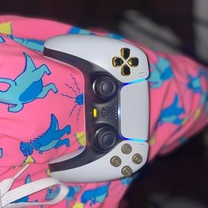 Custom Ps5 Controller